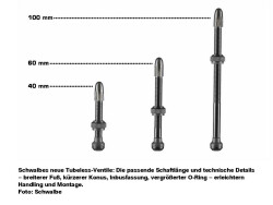 Schwalbe Tubeless Sibop Seti 40mm Uzunluk - 3